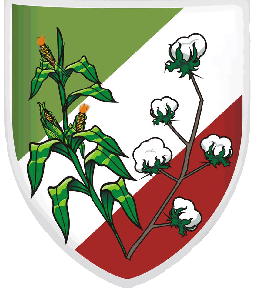 Logomarca da Entidade